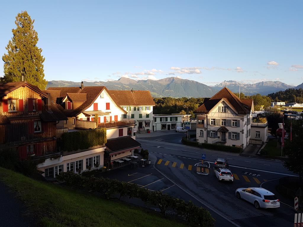Gasthaus Zum Ochsen Neuhaus Экстерьер фото
